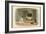 Jack Russell Terrier and Cats-null-Framed Art Print