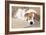 Jack Russell Terrier Dog Puppy Asleep-null-Framed Photographic Print