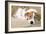 Jack Russell Terrier Dog Puppy Asleep-null-Framed Photographic Print