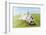 Jack Russell Terrier Lying on Back in Grass with Extending Paw-Nosnibor137-Framed Photographic Print