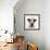 Jack Russell Terrier-Russell Glenister-Framed Photographic Print displayed on a wall