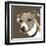 Jack Russell-Emily Burrowes-Framed Giclee Print