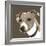 Jack Russell-Emily Burrowes-Framed Giclee Print