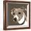 Jack Russell-Emily Burrowes-Framed Giclee Print