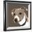 Jack Russell-Emily Burrowes-Framed Art Print