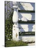Net House Harbor-Jack Saylor-Art Print