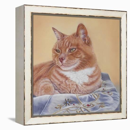 Jack Silk Blanket-Janet Pidoux-Framed Premier Image Canvas