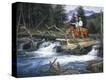 Stretched Canvas Print