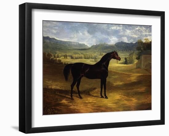 Jack Spigot, a Dark Bay Racehorse in a Paddock at Bolton Hall-John Frederick Herring I-Framed Giclee Print