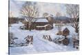 Stretched Canvas Print