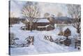 Stretched Canvas Print