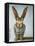 Jack-Leah Saulnier-Framed Premier Image Canvas