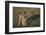 Jackal Pup-Paul Souders-Framed Photographic Print