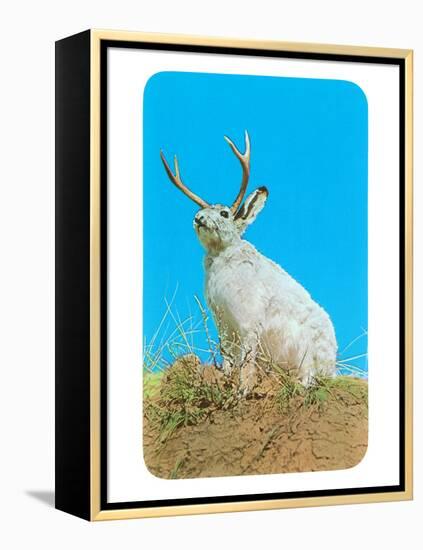 Jackalope, Horned Rabbit-null-Framed Stretched Canvas