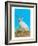 Jackalope, Horned Rabbit-null-Framed Premium Giclee Print