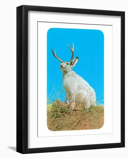 Jackalope, Horned Rabbit-null-Framed Art Print