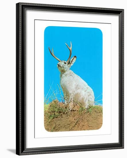 Jackalope, Horned Rabbit-null-Framed Art Print