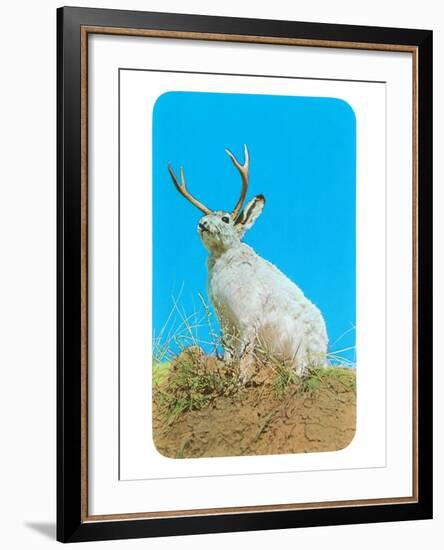 Jackalope, Horned Rabbit-null-Framed Art Print