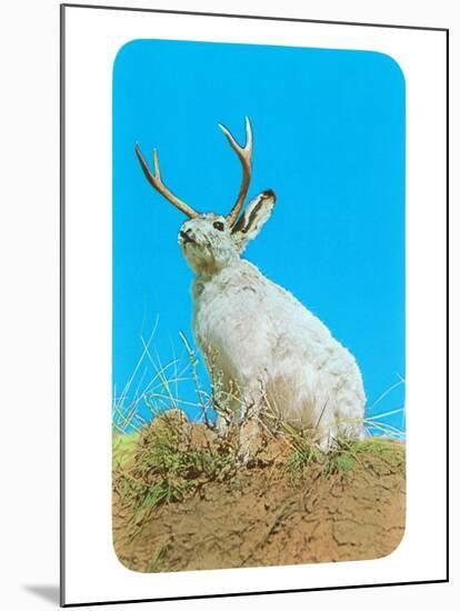Jackalope, Horned Rabbit-null-Mounted Art Print