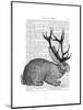 Jackalope Portrait 1-Fab Funky-Mounted Art Print