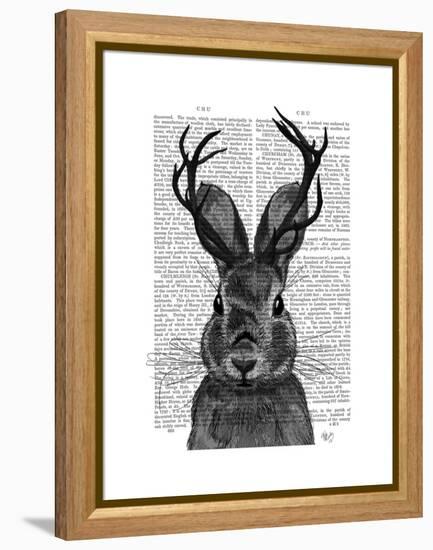 Jackalope with Grey Antlers-Fab Funky-Framed Stretched Canvas