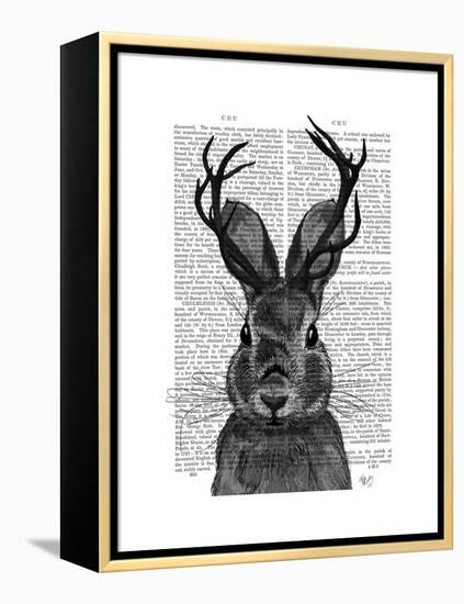 Jackalope with Grey Antlers-Fab Funky-Framed Stretched Canvas