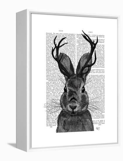 Jackalope with Grey Antlers-Fab Funky-Framed Stretched Canvas