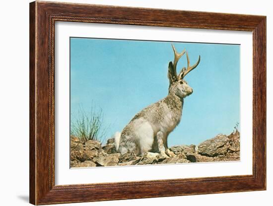 Jackalope-null-Framed Art Print