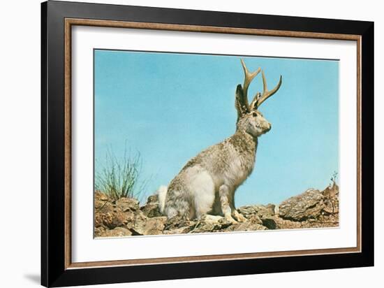 Jackalope-null-Framed Art Print