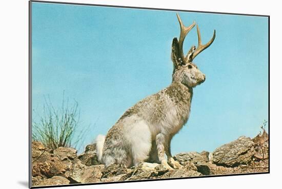 Jackalope-null-Mounted Art Print