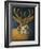 Jackalope-Leah Saulnier-Framed Giclee Print