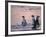 Jackass Penguin, Cape Town, South Africa-Stuart Westmoreland-Framed Photographic Print