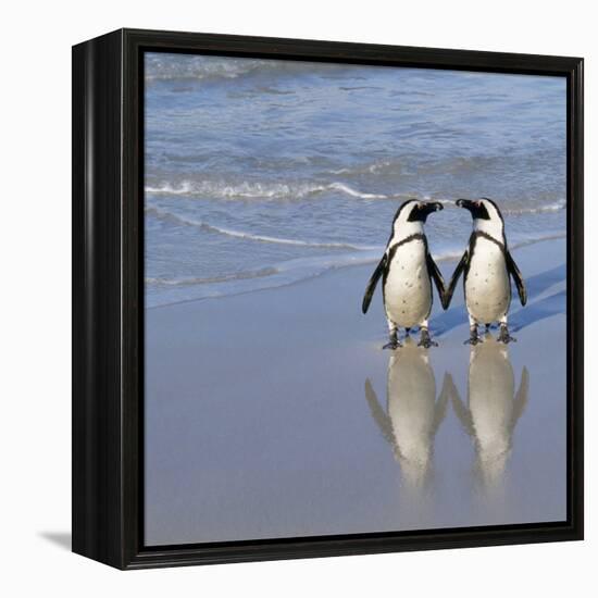 Jackass Penguin Pair-null-Framed Premier Image Canvas