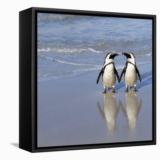 Jackass Penguin Pair-null-Framed Premier Image Canvas