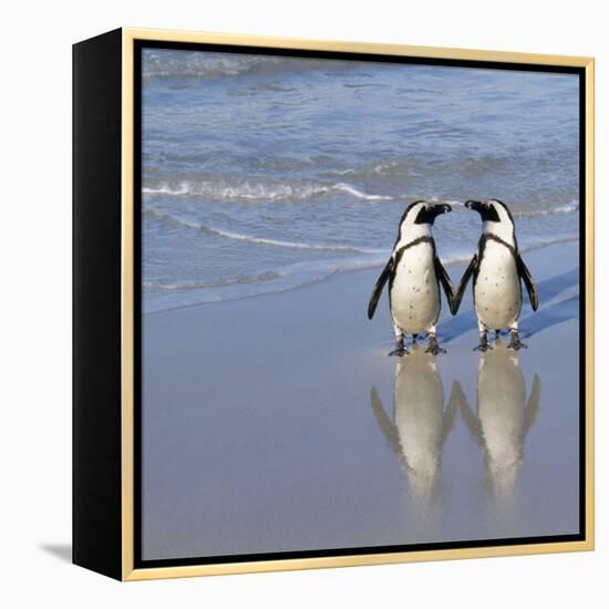 Jackass Penguin Pair-null-Framed Premier Image Canvas