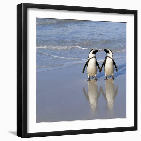 Jackass Penguin Pair-null-Framed Photographic Print