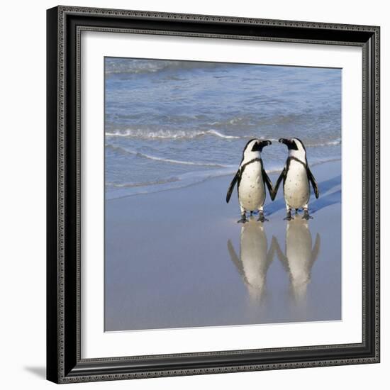 Jackass Penguin Pair-null-Framed Photographic Print