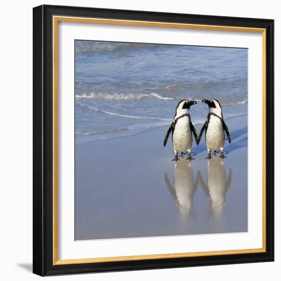 Jackass Penguin Pair-null-Framed Photographic Print