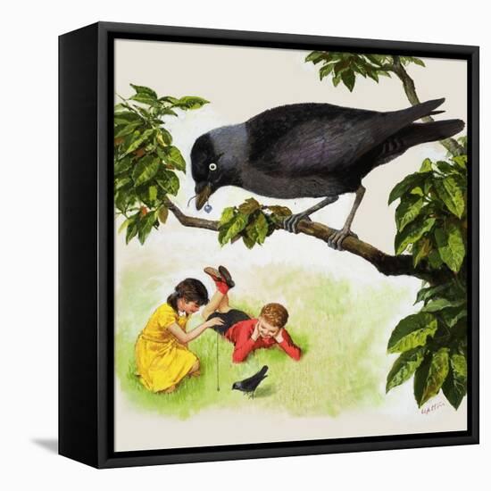 Jackdaw-Clive Uptton-Framed Premier Image Canvas