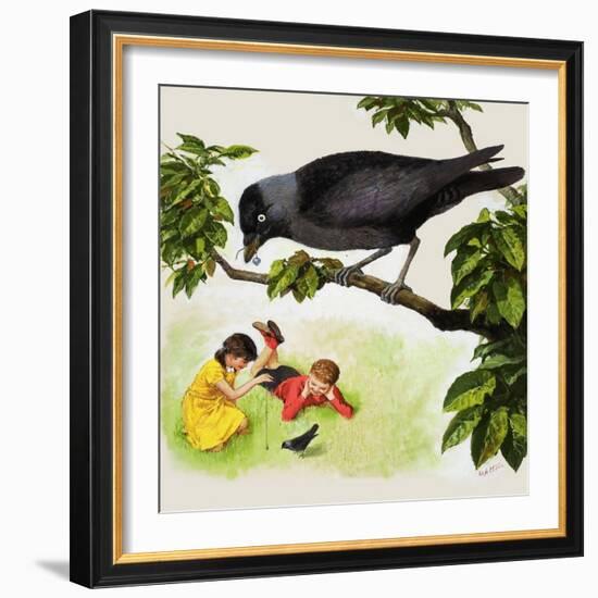 Jackdaw-Clive Uptton-Framed Giclee Print