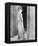 Jackie Coogan-null-Framed Stretched Canvas