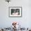 Jackie Kennedy I-British Pathe-Framed Giclee Print displayed on a wall
