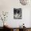 Jackie Kennedy Onassis-David Mcgough-Premium Photographic Print displayed on a wall