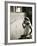 Jackie Kennedy Throwing the Bouquet-Toni Frissell-Framed Photo