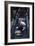 Jackie Stewart's Racing Helmet and Gloves, British Grand Prix, 1967-null-Framed Photographic Print