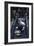 Jackie Stewart's Racing Helmet and Gloves, British Grand Prix, 1967-null-Framed Photographic Print