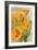 Jackson, California - The Californian Poppy Flowers-Lantern Press-Framed Art Print