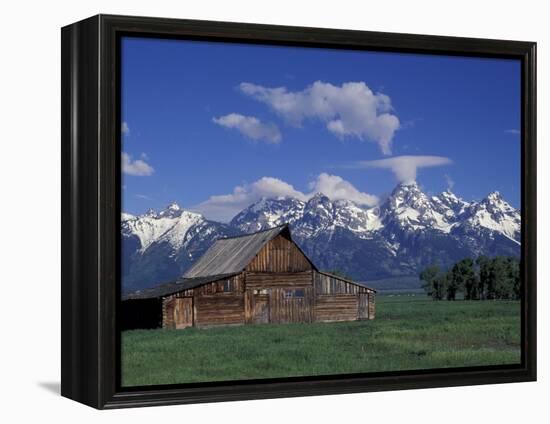 Jackson Hole Homestead and Grand Teton Range, Grand Teton National Park, Wyoming, USA-Jamie & Judy Wild-Framed Premier Image Canvas