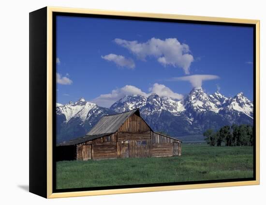 Jackson Hole Homestead and Grand Teton Range, Grand Teton National Park, Wyoming, USA-Jamie & Judy Wild-Framed Premier Image Canvas