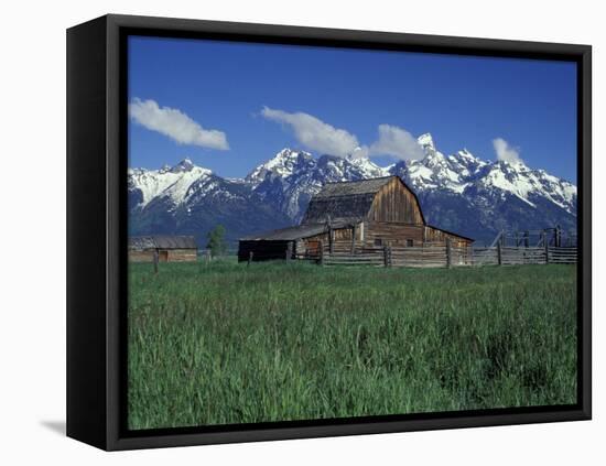 Jackson Hole Homestead and Grand Teton Range, Grand Teton National Park, Wyoming, USA-Jamie & Judy Wild-Framed Premier Image Canvas